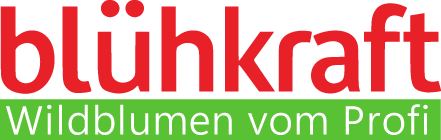 Blühkraft Wildblumenwiese vom Profi