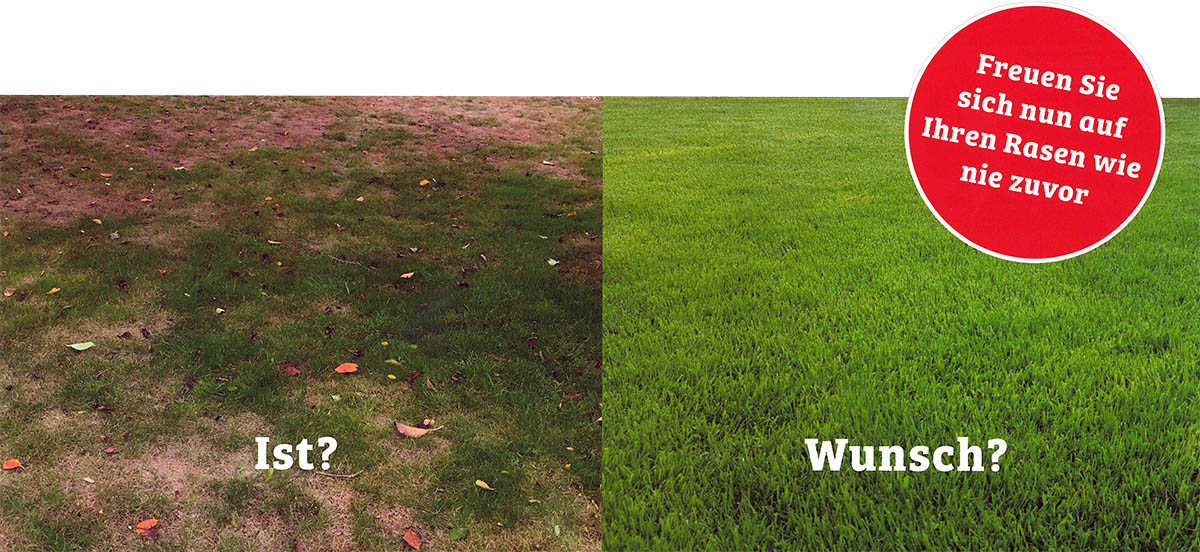 Rasenfplege-Tipps für das Frühjar