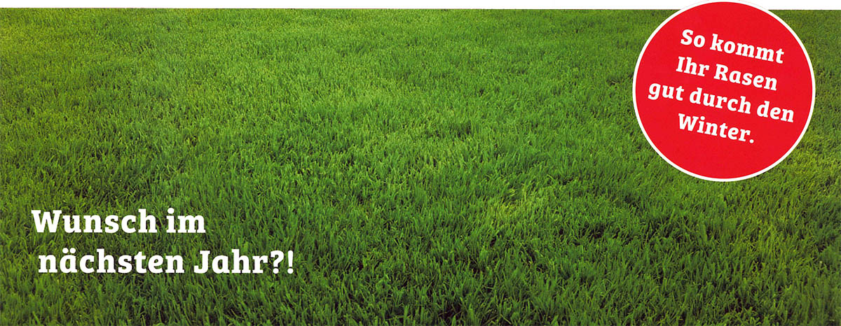 Rasenfplege-Tipps für den Herbst