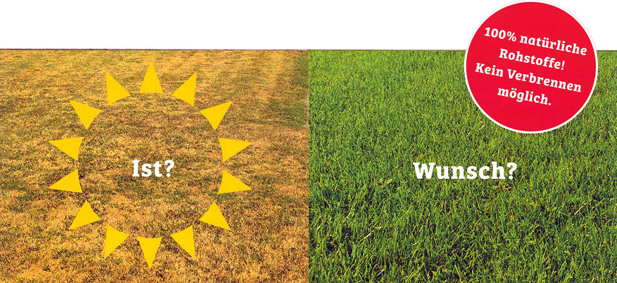 Rasenfplege-Tipps für den Sommer